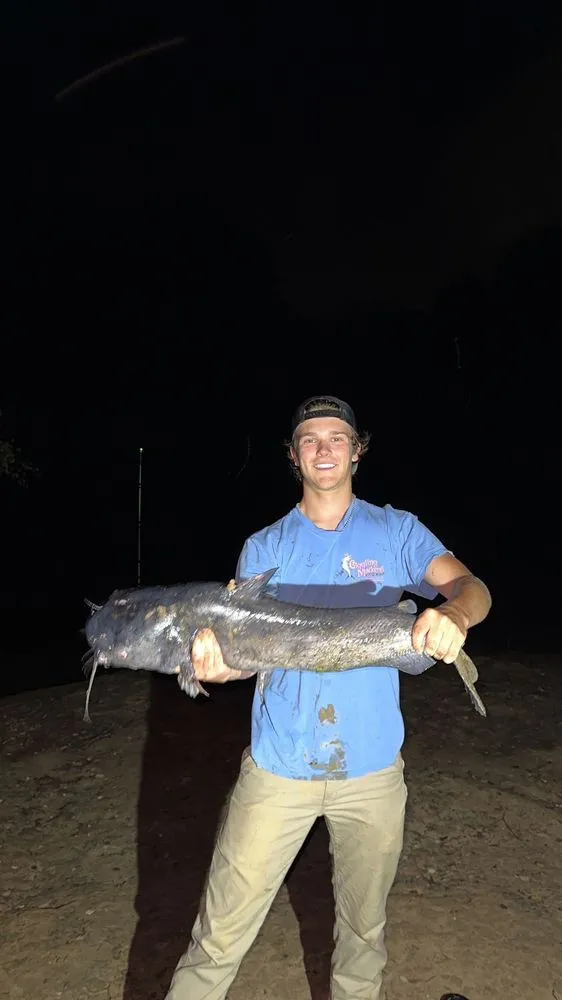 Local lawn mowing service in Wilmington, NC by J&J Lawncare