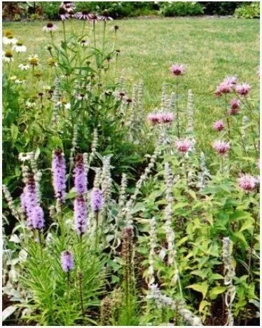 Reliable landscape design for outdoor upgrades in Dekalb, IL by JJ Marshall Landscape Creations