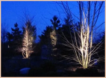 JJ Marshall Landscape Creations Logo