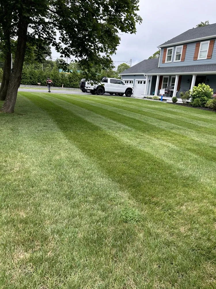 Professional yard cleanup service near you across Mastic Beach, NY - JJ Ortega Landscaping