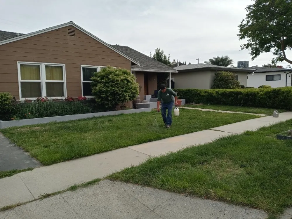 Affordable yard maintenance with custom design across San Fernando Valley, CA - J&J Outdoor Builders and Landscape