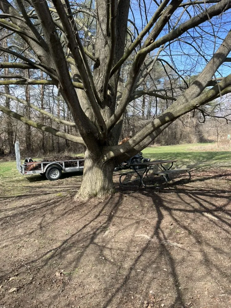 Affordable yard cleanup service with custom design in Brooklyn, MI by J&J Outdoor Home Services