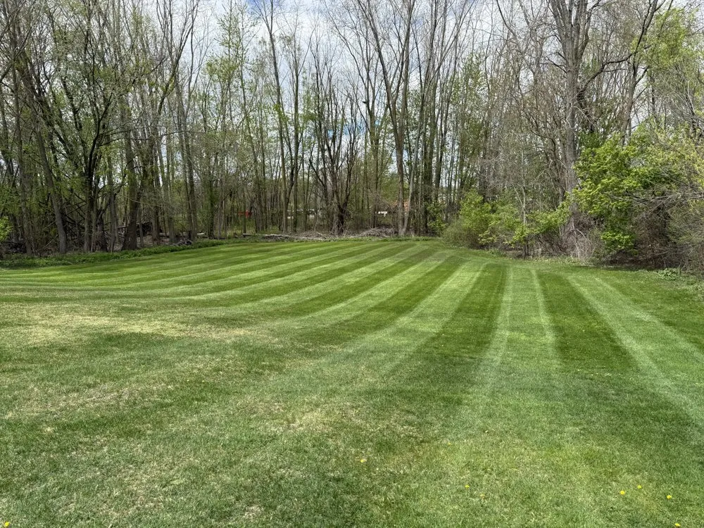 Trusted yard cleanup service experts serving Jenison, MI - J&J Outdoor Services