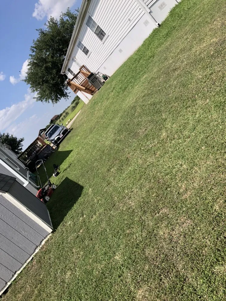 Expert outdoor landscaping in Austin, TX by JJ Precision Landscaping