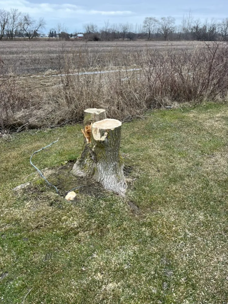 Affordable lawn care service in Bay City, MI - J&J Premier Landscape Services