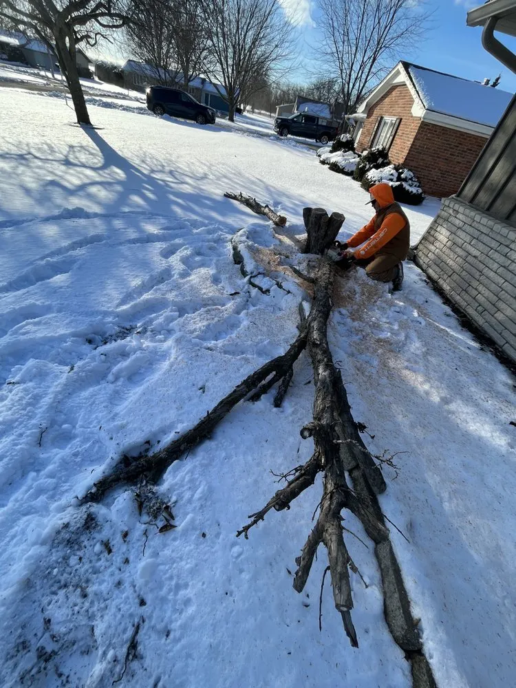 Professional yard maintenance in Bay City, MI - J&J Premier Landscape Services