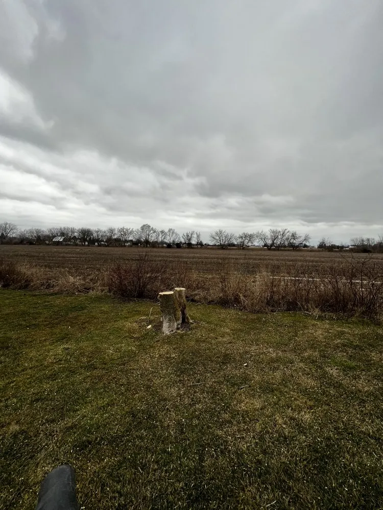 Top-rated landscape installation in Bay City, MI by J&J Premier Landscape Services