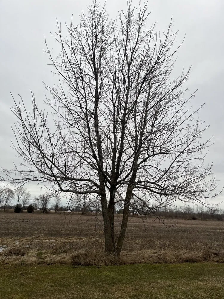 Reliable outdoor landscaping in Bay City, MI by J&J Premier Landscape Services