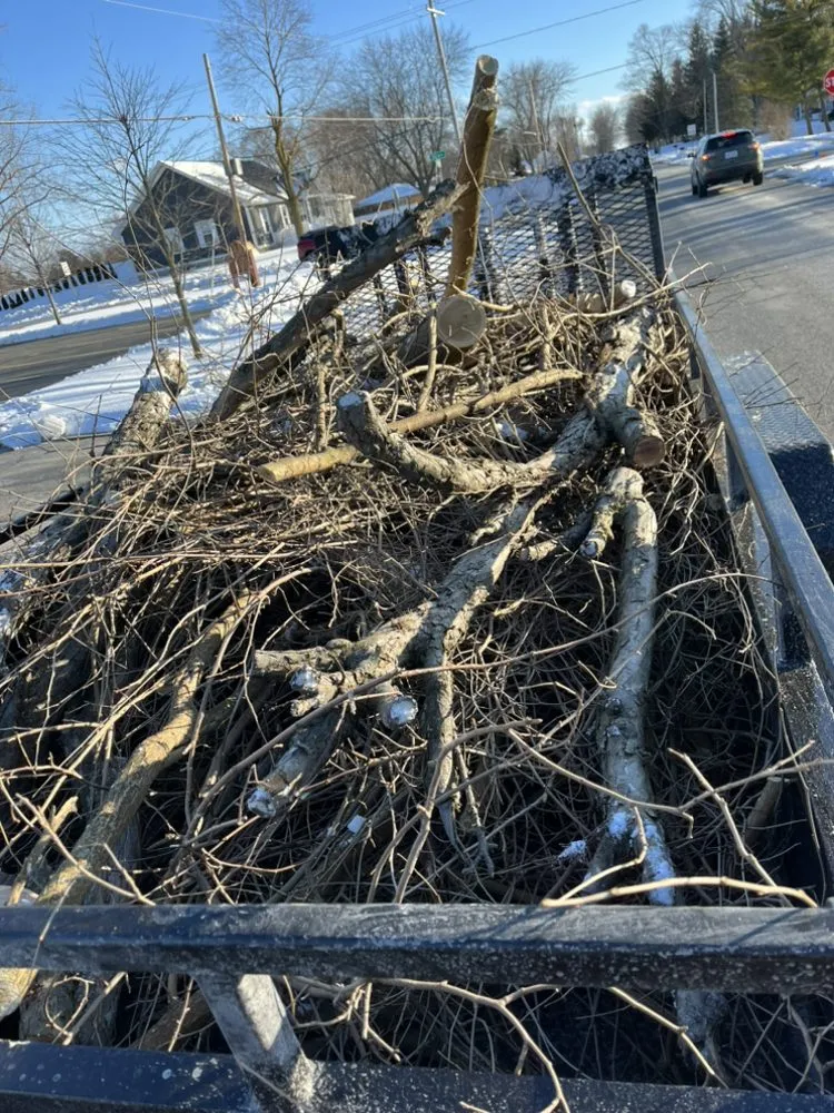 Affordable landscaping services for outdoor upgrades in Bay City, MI by J&J Premier Landscape Services