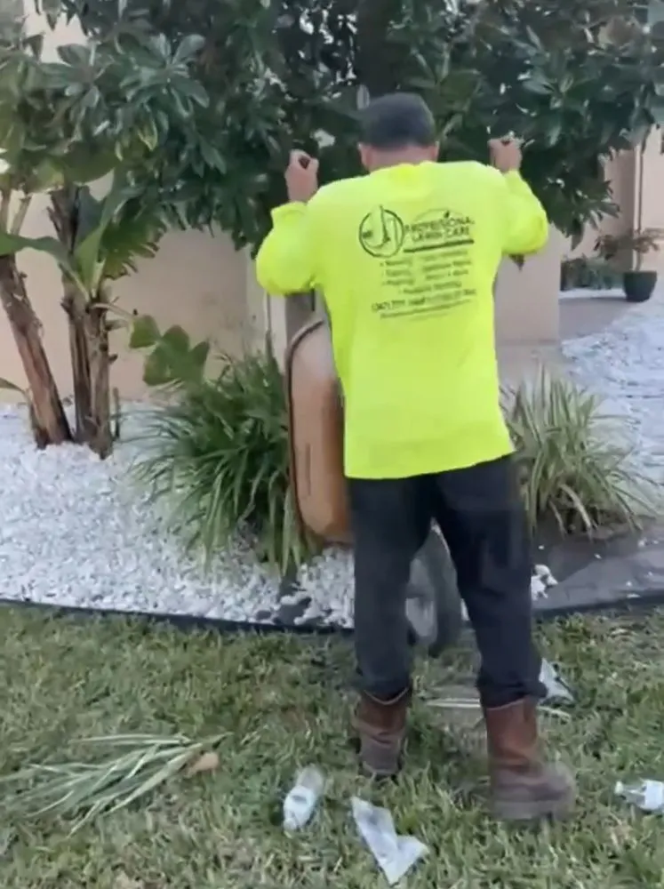 Reliable residential landscaping in Orlando, FL - J&J Professional Lawn Care