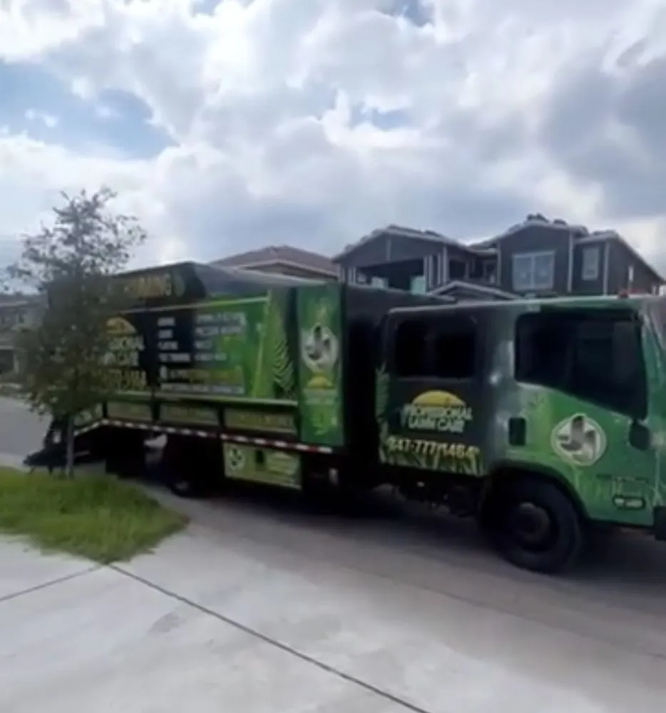 Affordable garden landscaping for year-round maintenance in Orlando, FL by J&J Professional Lawn Care