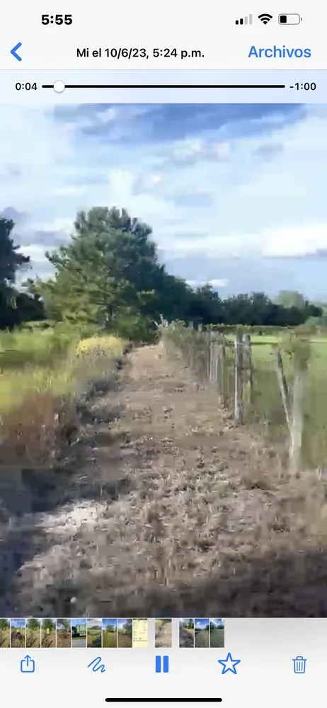 Affordable garden landscaping for beautiful yards across Orlando, FL - J&J Professional Lawn Care