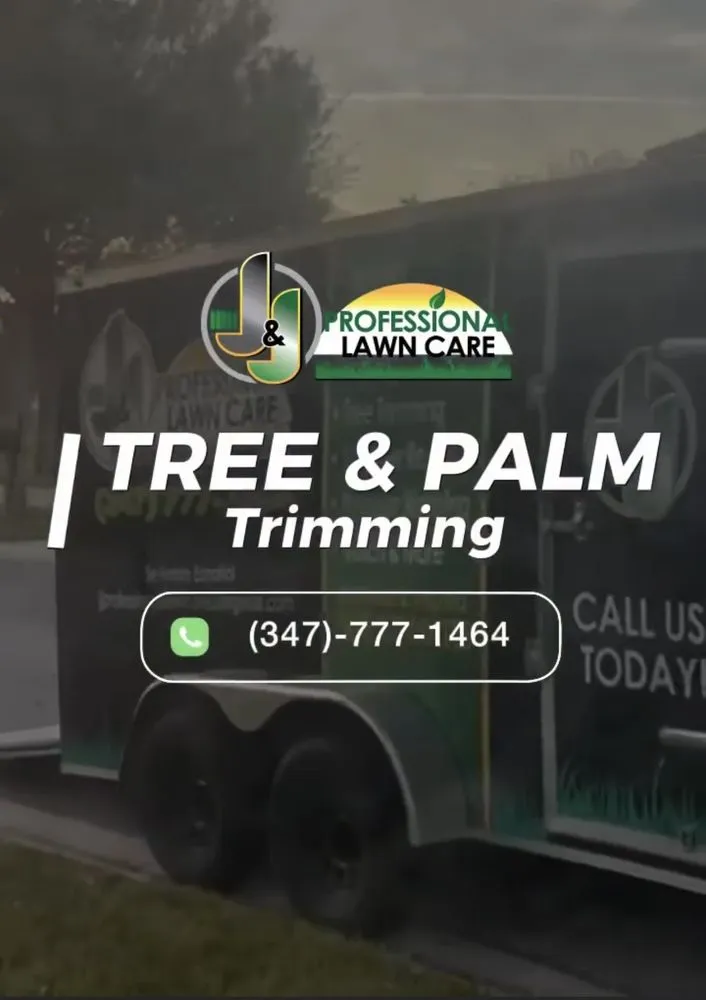 Affordable landscaping services for beautiful yards across Orlando, FL - J&J Professional Lawn Care