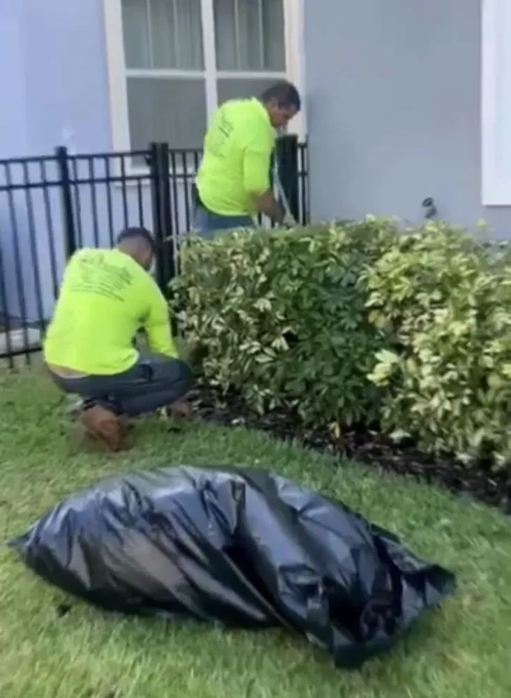 Expert landscaping services in Orlando, FL by J&J Professional Lawn Care