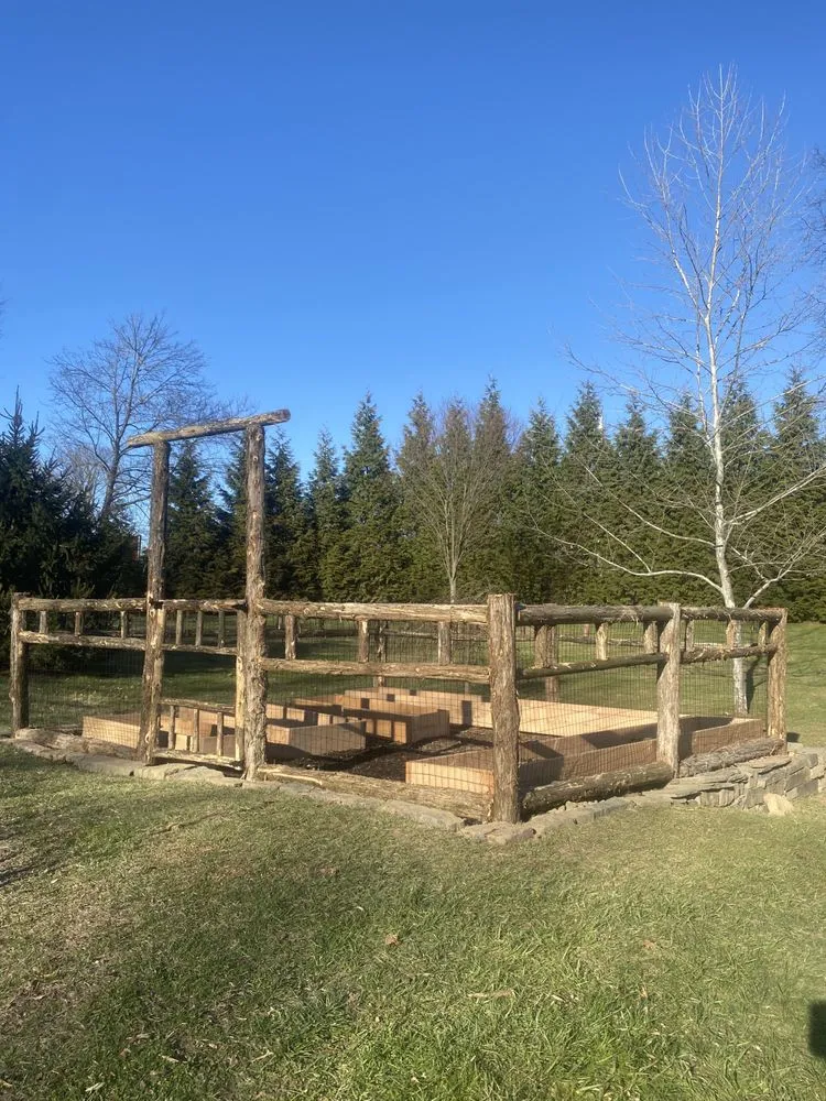 Trusted yard cleanup service in Stone Ridge, NY - JJ Property Solutions