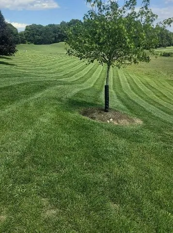 Affordable garden landscaping experts serving Stone Ridge, NY - JJ Property Solutions
