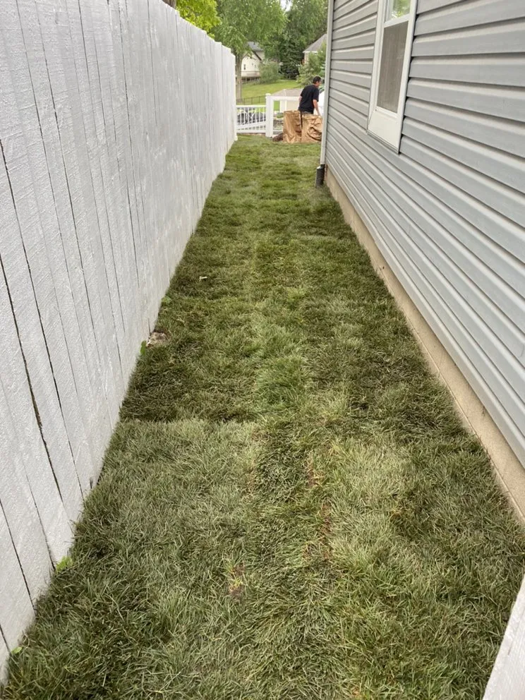 Expert yard maintenance experts serving Leonard, MI - J&J Quality Landscape