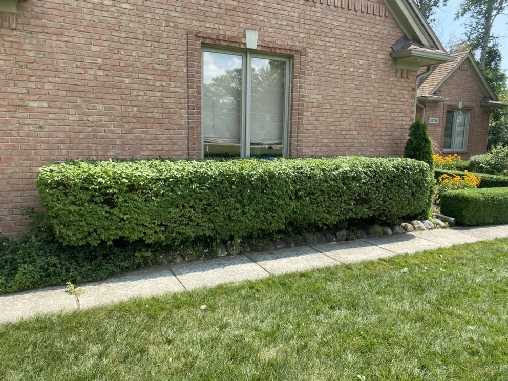 Trusted landscape design in Leonard, MI - J&J Quality Landscape