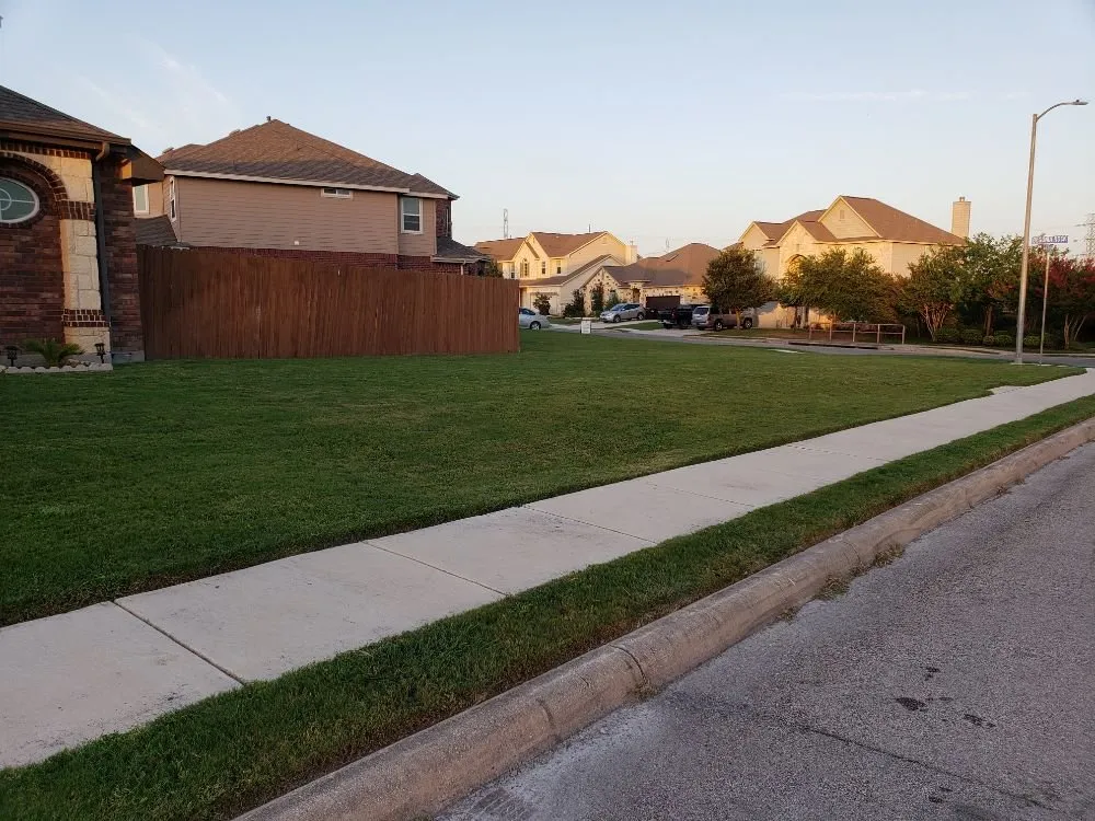 Custom landscaping services for year-round maintenance in San Antonio, TX by JJ RANGEL LAWN SERVICE