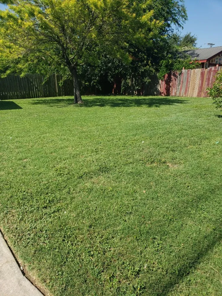 Expert lawn mowing service experts serving San Antonio, TX - JJ RANGEL LAWN SERVICE