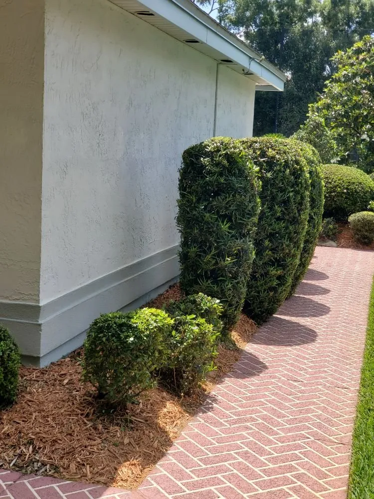 Expert yard cleanup service experts serving Orlando, FL - J&J Rosario