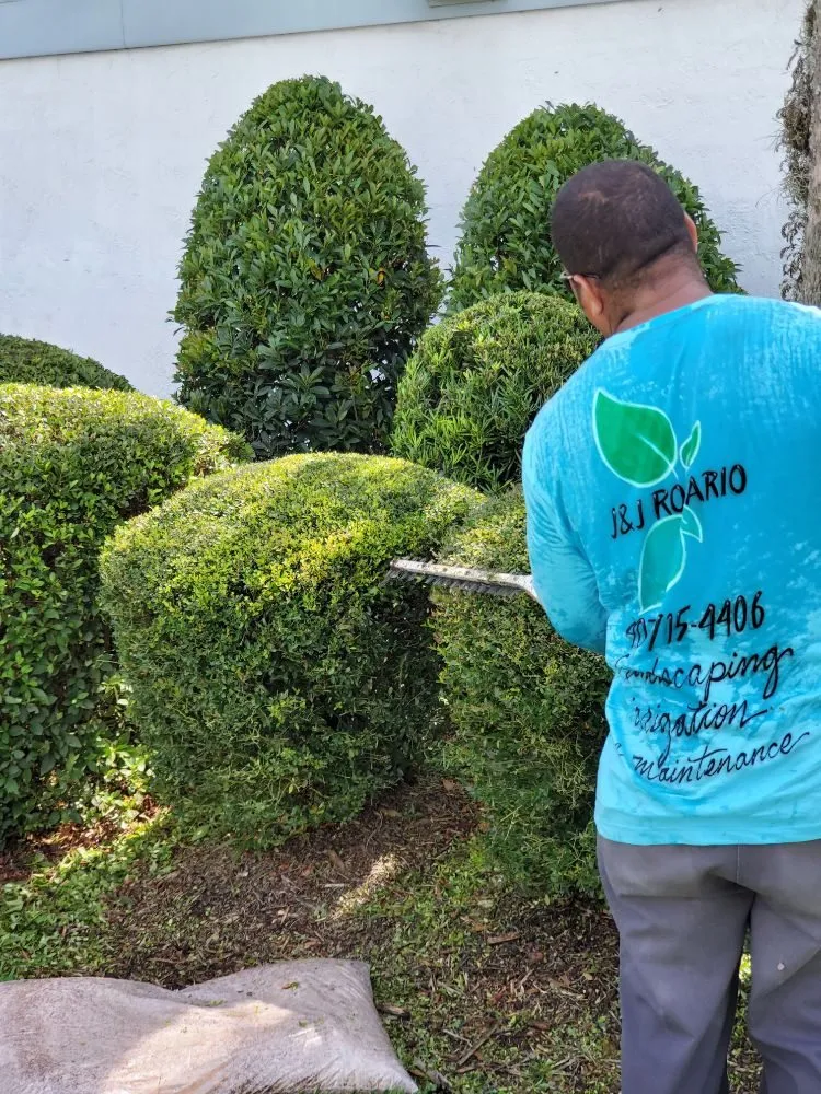 Affordable yard maintenance for beautiful yards across Orlando, FL - J&J Rosario