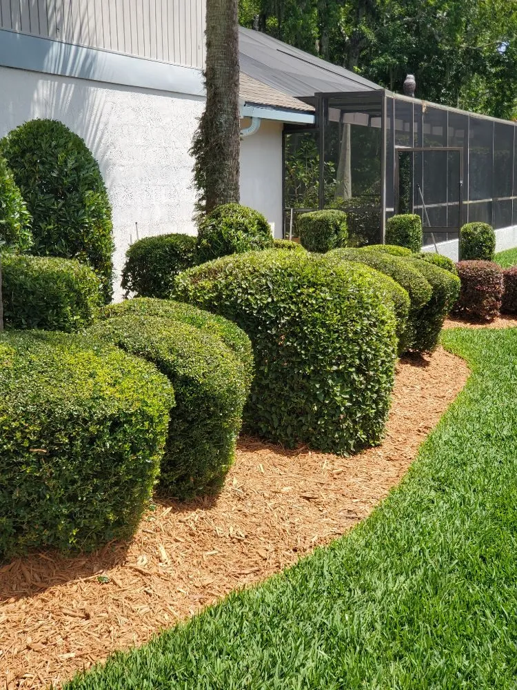 Reliable lawn care service for homes across Orlando, FL - J&J Rosario