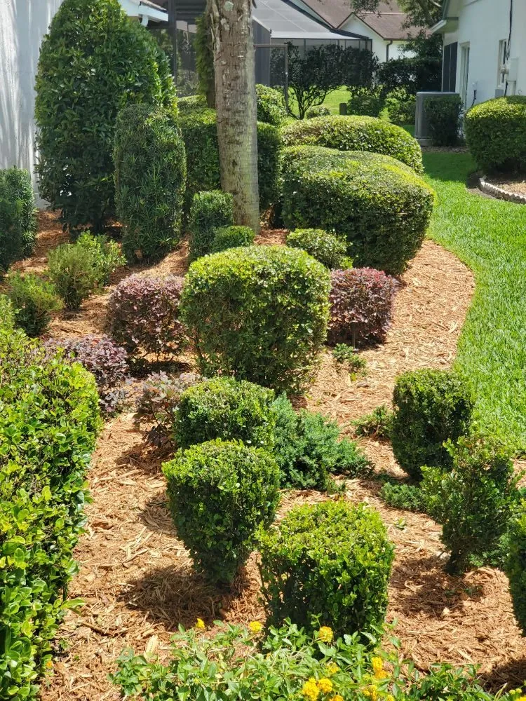 Top-rated yard cleanup service experts serving Orlando, FL - J&J Rosario