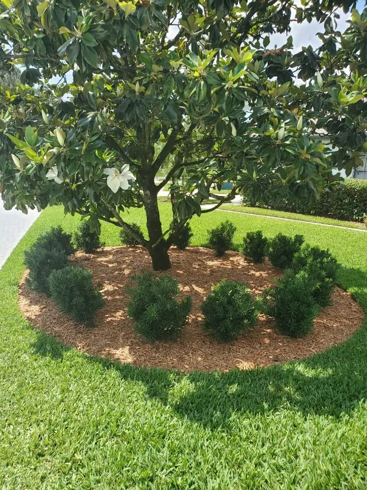 Top-rated residential landscaping with custom design across Orlando, FL - J&J Rosario