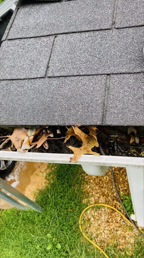 Professional outdoor landscaping in Traphill, NC - J&J Services & Junk Removal