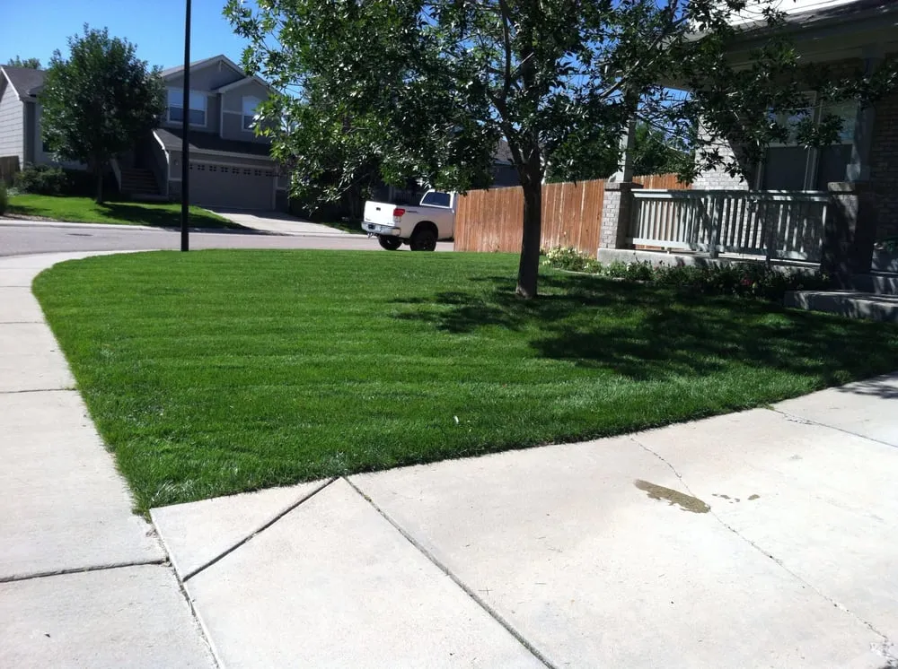 Custom garden landscaping in Longmont, CO by JJ Services