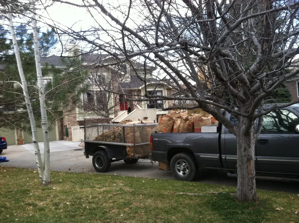 Trusted yard maintenance in Longmont, CO - JJ Services