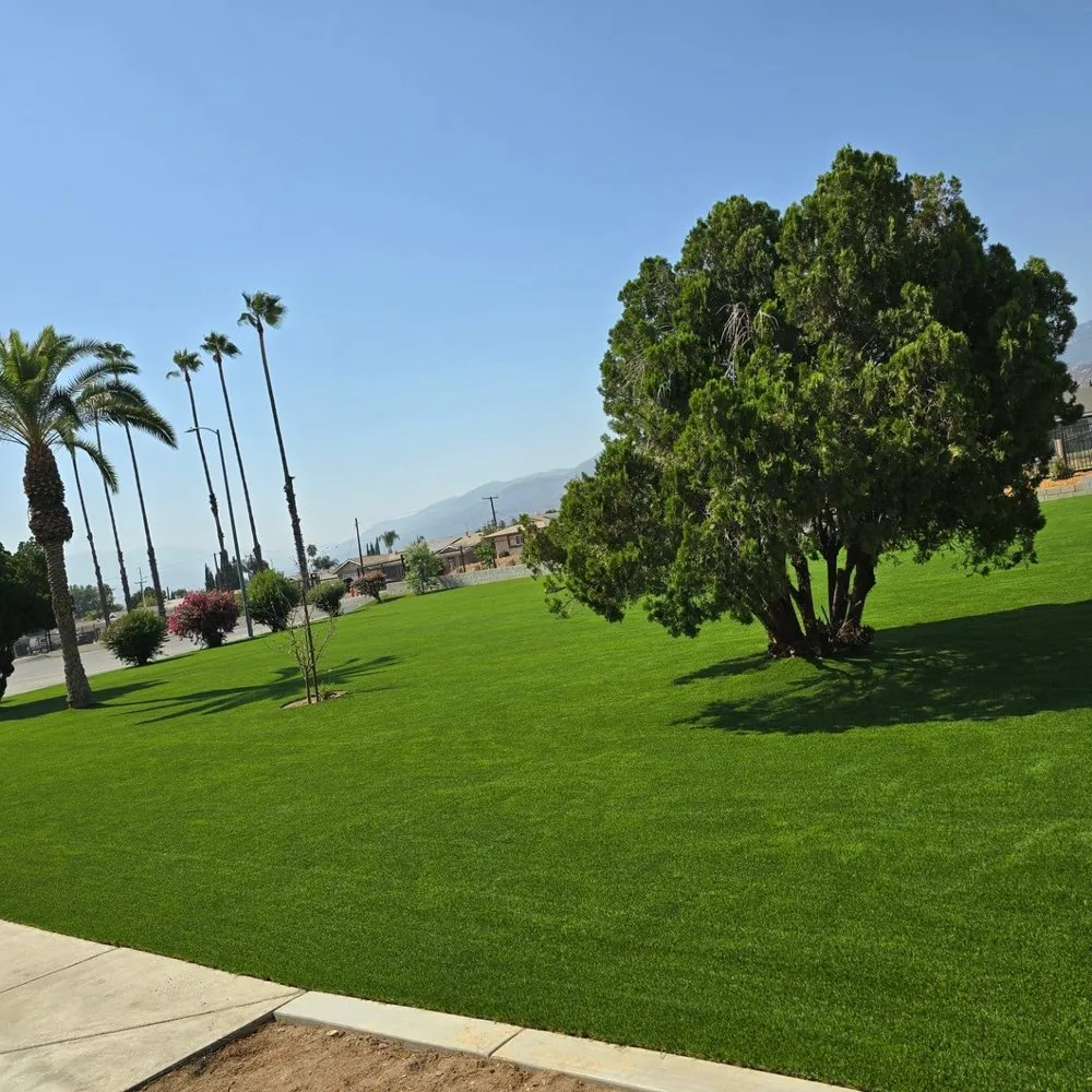 Top-rated landscaping services in San Bernardino, CA - JJ Services
