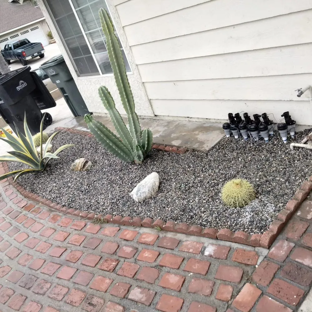 Reliable yard cleanup service in San Bernardino, CA by JJ Services