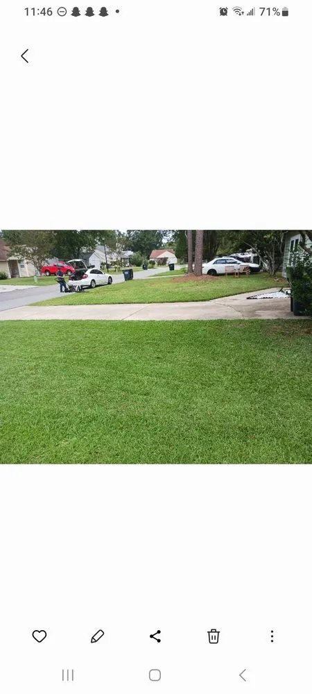 Trusted landscape design for beautiful yards across Summerville, SC - J&J Services