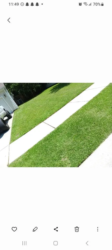 Local lawn care service for outdoor upgrades in Summerville, SC by J&J Services