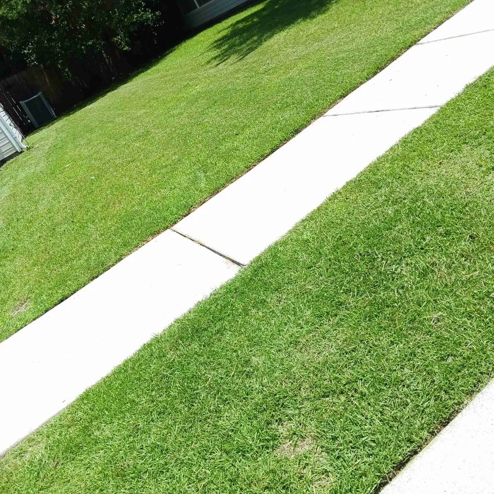 Affordable residential landscaping in Summerville, SC by J&J Services