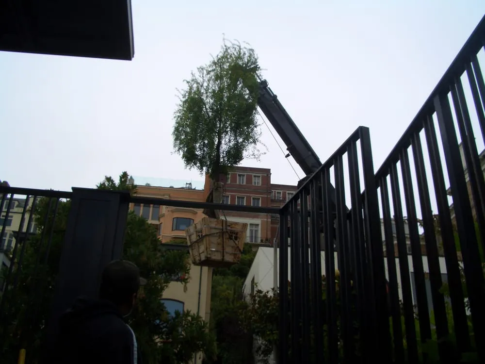 Custom yard cleanup service for outdoor upgrades in Montara, CA by JJ Smith Landscape Design/Build