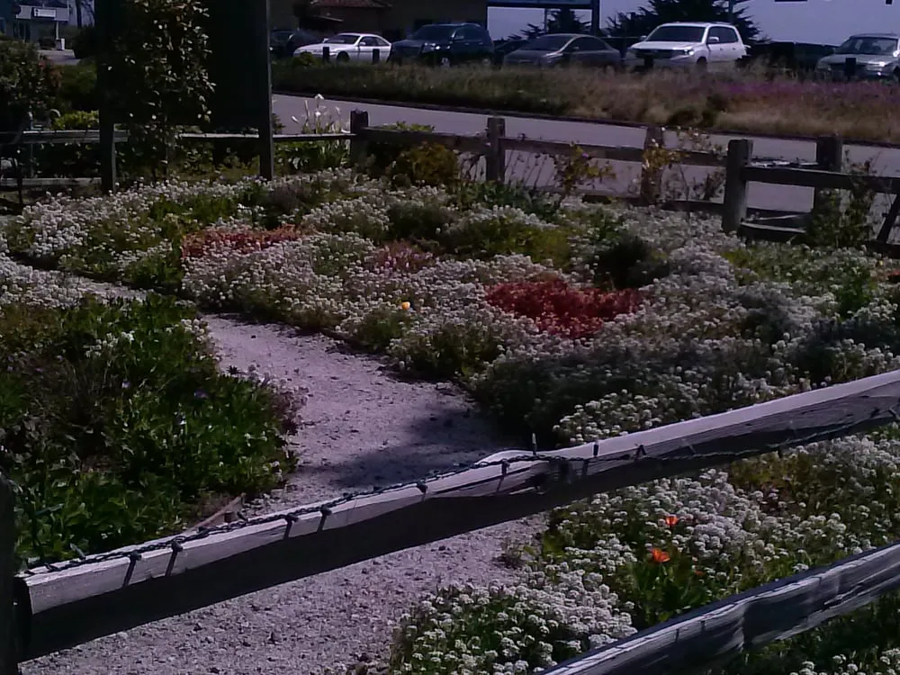 Expert landscaping services for outdoor upgrades across Montara, CA - JJ Smith Landscape Design/Build