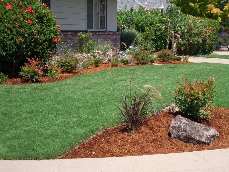 Trusted residential landscaping experts serving Montara, CA - JJ Smith Landscape Design/Build