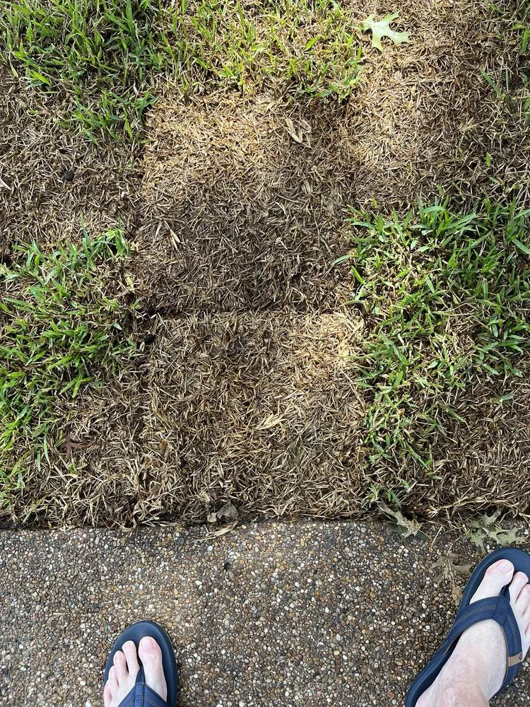 Professional outdoor landscaping experts serving Dallas, TX - J&J Sod Company