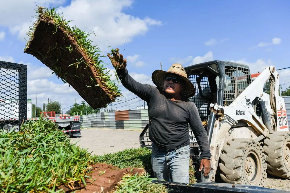 Expert yard maintenance in Dallas, TX by J&J Sod Company