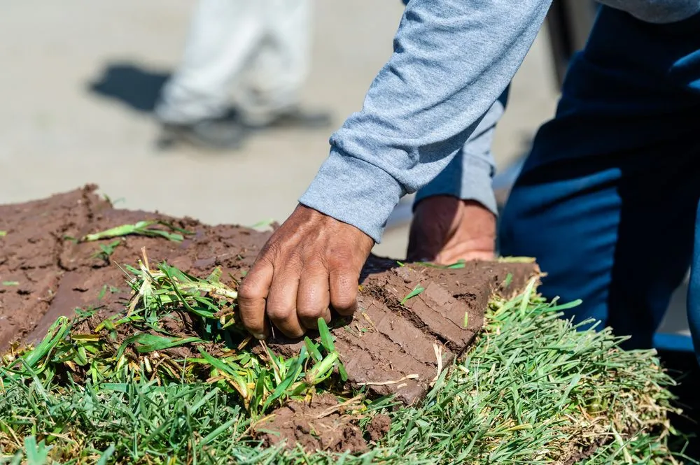 Top-rated landscape design experts serving Dallas, TX - J&J Sod Company