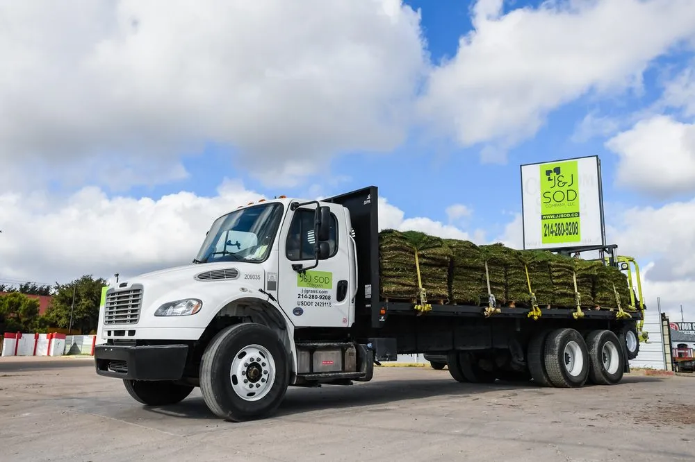 Expert yard maintenance with custom design in Dallas, TX by J&J Sod Company