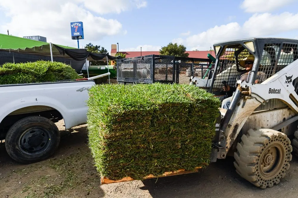 Local lawn care service for residential properties across Dallas, TX - J&J Sod Company