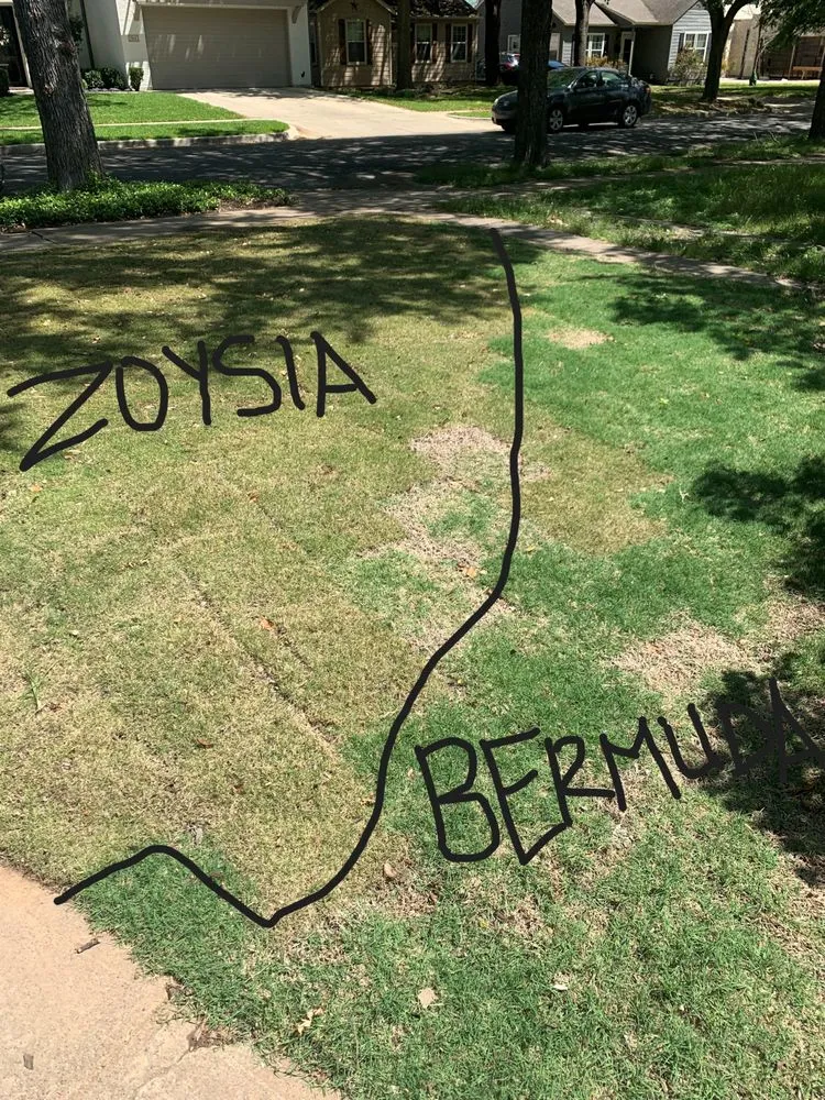 Professional lawn care service for residential properties across Dallas, TX - J&J Sod Company