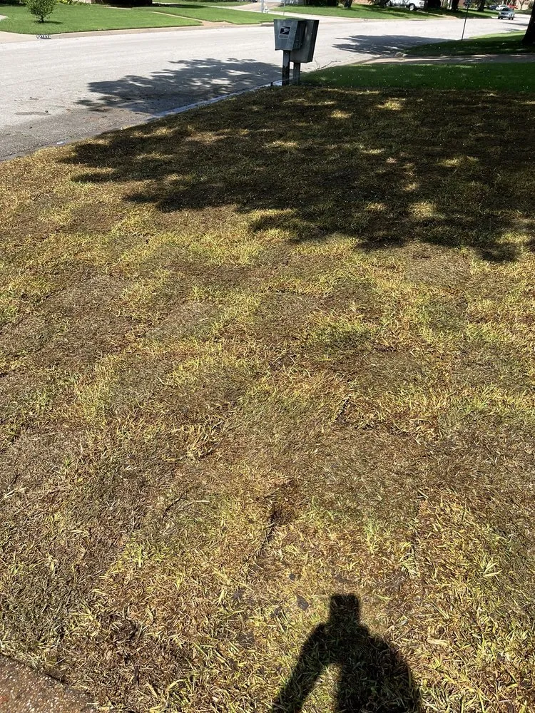 Custom landscaping services in Dallas, TX by J&J Sod Company