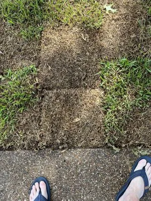 J&J Sod Company Logo