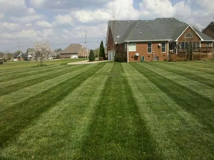 Reliable lawn mowing service experts serving Wilmington, NC - JJ Solutions