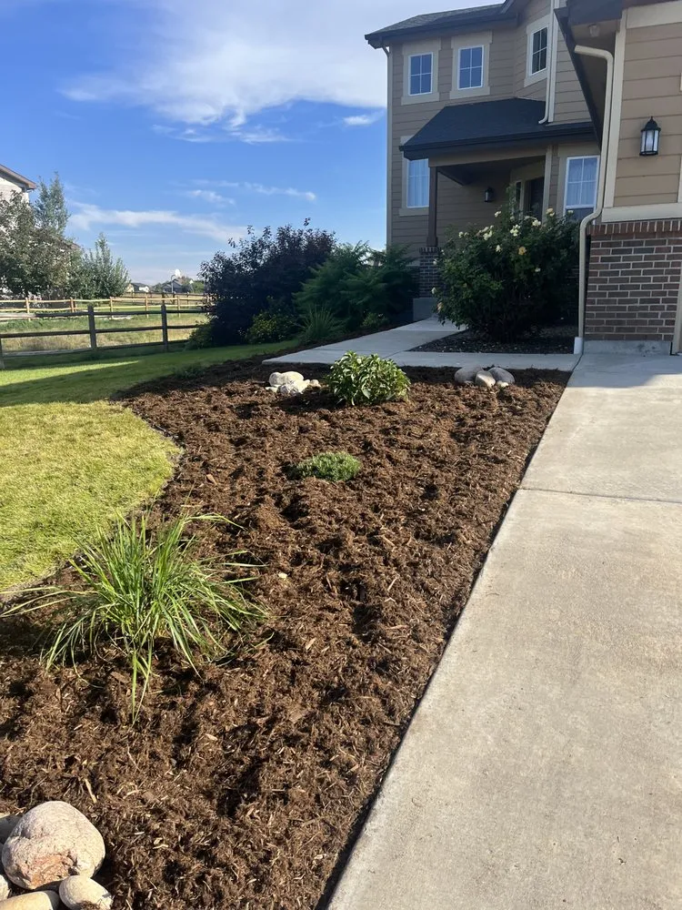 Local lawn mowing service experts serving Loveland, CO - JJ Sprinklers & Landscaping Services